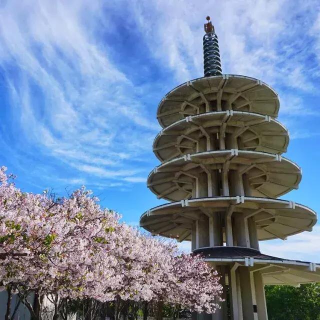 日本城的和平塔